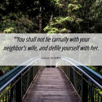 Picture 06 - Leviticus 18:20 WEB - 