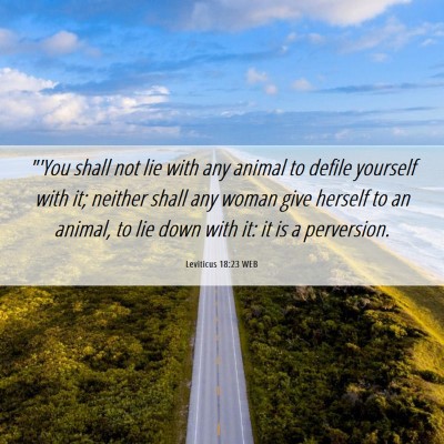 Picture 06 - Leviticus 18:23 WEB - 