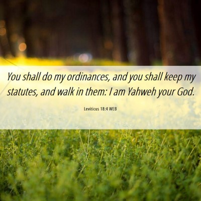 Picture 06 - Leviticus 18:4 WEB - You shall do my ordinances, and you shall keep my - Bible Verse Picture