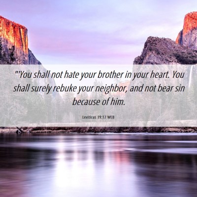 Picture 06 - Leviticus 19:17 WEB - 