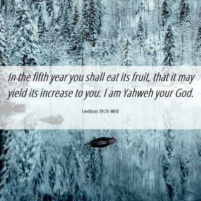 Picture 06 - Leviticus 19:25 WEB - In the fifth year you shall eat its fruit, that - Bible Verse Picture