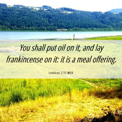 Picture 06 - Leviticus 2:15 WEB - You shall put oil on it, and lay frankincense on - Bible Verse Picture