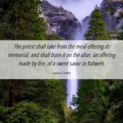 Picture 06 - Leviticus 2:9 WEB - The priest shall take from the meal offering its - Bible Verse Picture