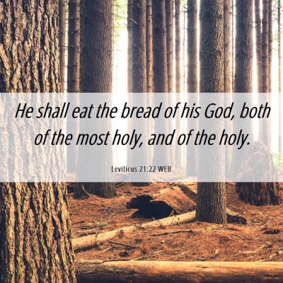 Picture 06 - Leviticus 21:22 WEB - He shall eat the bread of his God, both of the - Bible Verse Picture