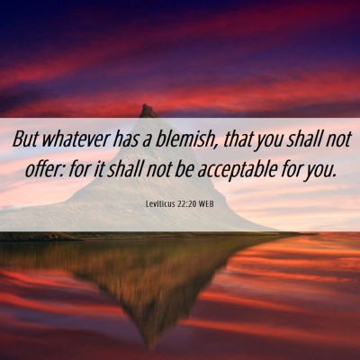 Picture 06 - Leviticus 22:20 WEB - But whatever has a blemish, that you shall not - Bible Verse Picture