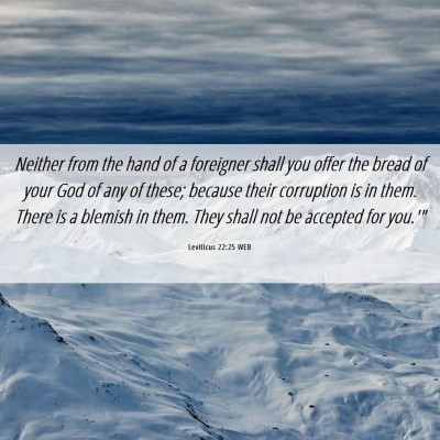Picture 06 - Leviticus 22:25 WEB - Neither from the hand of a foreigner shall you - Bible Verse Picture