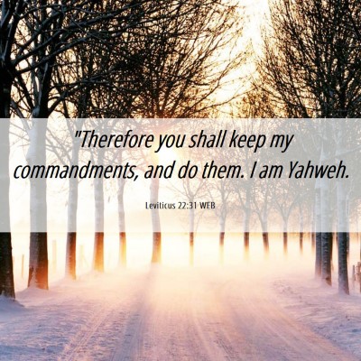 Picture 06 - Leviticus 22:31 WEB - 