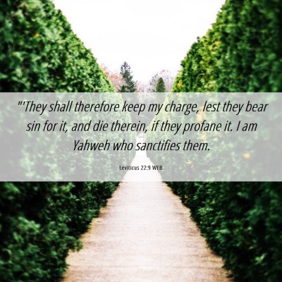 Picture 06 - Leviticus 22:9 WEB - 