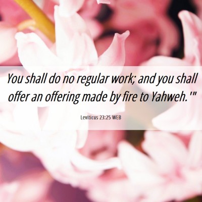 Picture 06 - Leviticus 23:25 WEB - You shall do no regular work; and you shall offer - Bible Verse Picture