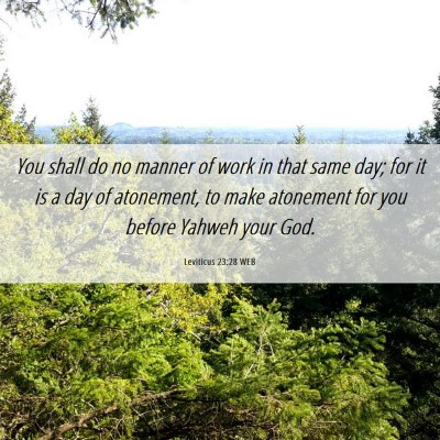 Picture 06 - Leviticus 23:28 WEB - You shall do no manner of work in that same day; - Bible Verse Picture