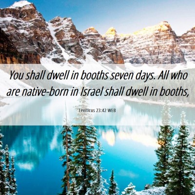 Picture 06 - Leviticus 23:42 WEB - You shall dwell in booths seven days. All who are - Bible Verse Picture