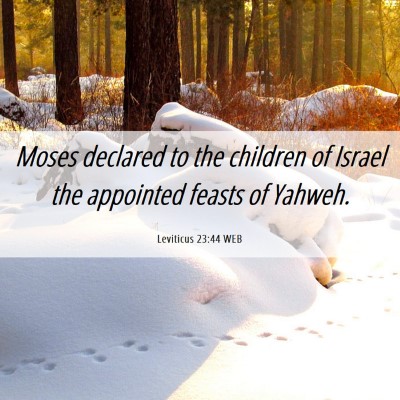 Picture 06 - Leviticus 23:44 WEB - Moses declared to the children of Israel the - Bible Verse Picture