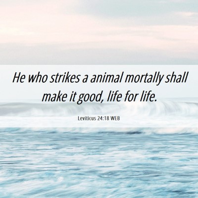 Picture 06 - Leviticus 24:18 WEB - He who strikes a animal mortally shall make it - Bible Verse Picture