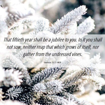 Picture 06 - Leviticus 25:11 WEB - That fiftieth year shall be a jubilee to you. In - Bible Verse Picture