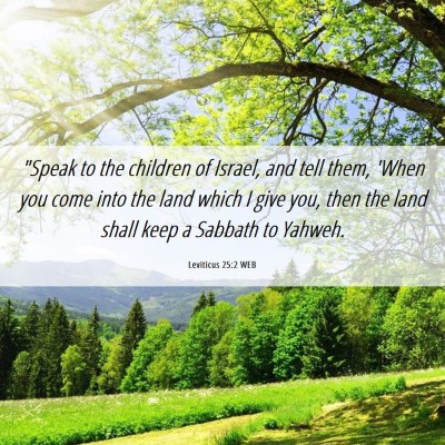 Picture 06 - Leviticus 25:2 WEB - 