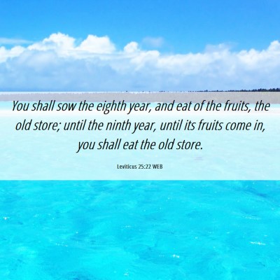 Picture 06 - Leviticus 25:22 WEB - You shall sow the eighth year, and eat of the - Bible Verse Picture