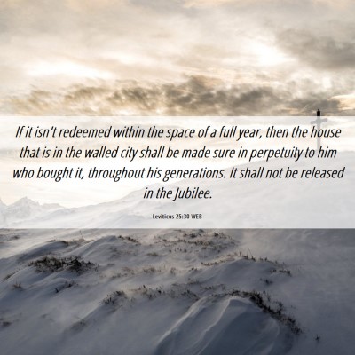 Picture 06 - Leviticus 25:30 WEB - If it isn't redeemed within the space of a full - Bible Verse Picture