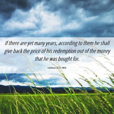 Picture 06 - Leviticus 25:51 WEB - If there are yet many years, according to them he - Bible Verse Picture