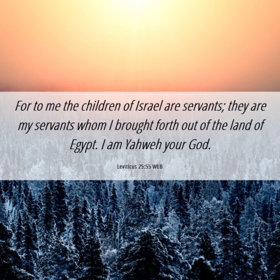 Picture 06 - Leviticus 25:55 WEB - For to me the children of Israel are servants; - Bible Verse Picture