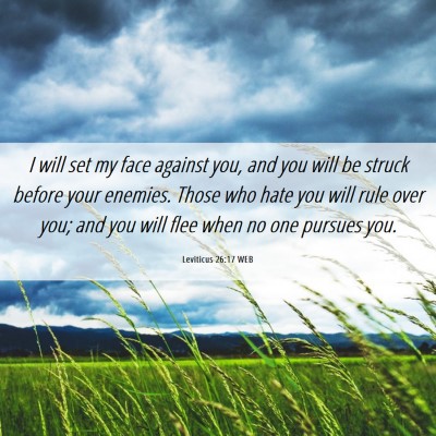 Picture 06 - Leviticus 26:17 WEB - I will set my face against you, and you will be - Bible Verse Picture