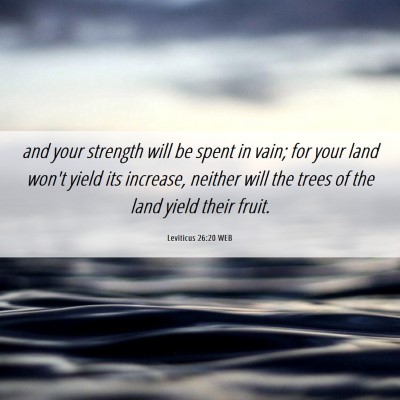 Picture 06 - Leviticus 26:20 WEB - and your strength will be spent in vain; for your - Bible Verse Picture