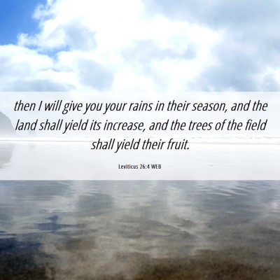Picture 06 - Leviticus 26:4 WEB - then I will give you your rains in their season, - Bible Verse Picture
