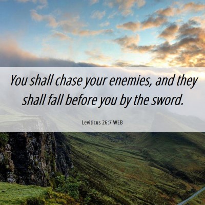 Picture 06 - Leviticus 26:7 WEB - You shall chase your enemies, and they shall fall - Bible Verse Picture