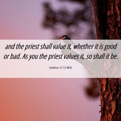 Picture 06 - Leviticus 27:12 WEB - and the priest shall value it, whether it is good - Bible Verse Picture