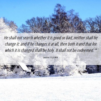 Picture 06 - Leviticus 27:33 WEB - He shall not search whether it is good or bad, - Bible Verse Picture
