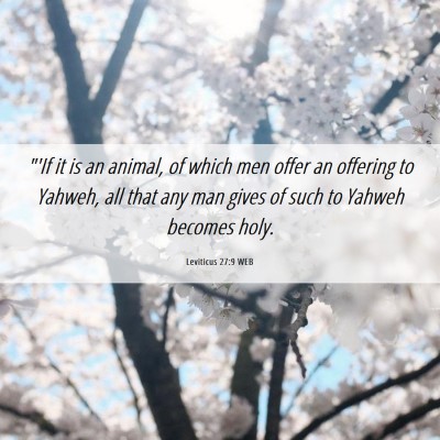 Picture 06 - Leviticus 27:9 WEB - 