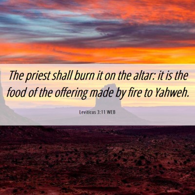 Picture 06 - Leviticus 3:11 WEB - The priest shall burn it on the altar: it is the - Bible Verse Picture