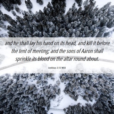 Picture 06 - Leviticus 3:13 WEB - and he shall lay his hand on its head, and kill - Bible Verse Picture
