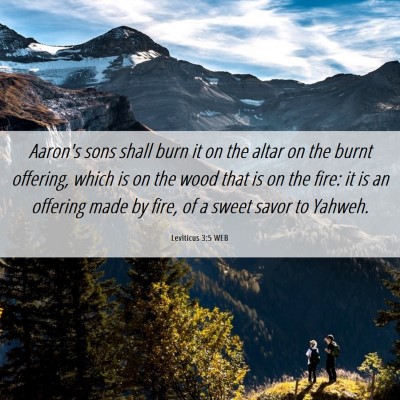 Picture 06 - Leviticus 3:5 WEB - Aaron's sons shall burn it on the altar on the - Bible Verse Picture