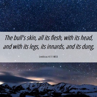 Picture 06 - Leviticus 4:11 WEB - The bull's skin, all its flesh, with its head, - Bible Verse Picture
