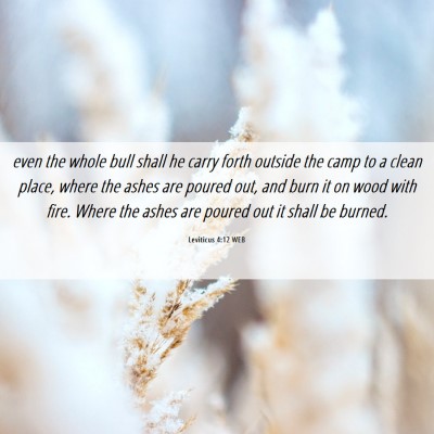Picture 06 - Leviticus 4:12 WEB - even the whole bull shall he carry forth outside - Bible Verse Picture