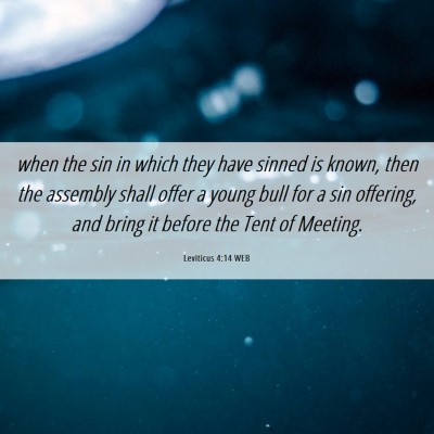 Picture 06 - Leviticus 4:14 WEB - when the sin in which they have sinned is known, - Bible Verse Picture