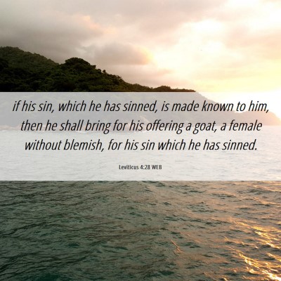 Picture 06 - Leviticus 4:28 WEB - if his sin, which he has sinned, is made known to - Bible Verse Picture