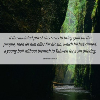 Picture 06 - Leviticus 4:3 WEB - if the anointed priest sins so as to bring guilt - Bible Verse Picture
