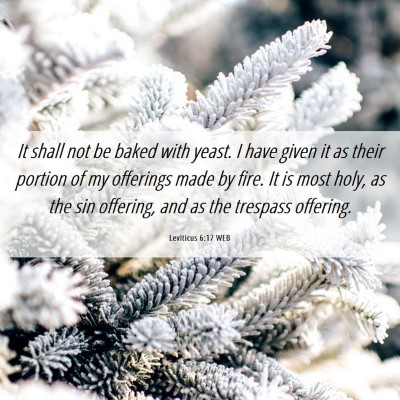 Picture 06 - Leviticus 6:17 WEB - It shall not be baked with yeast. I have given it - Bible Verse Picture