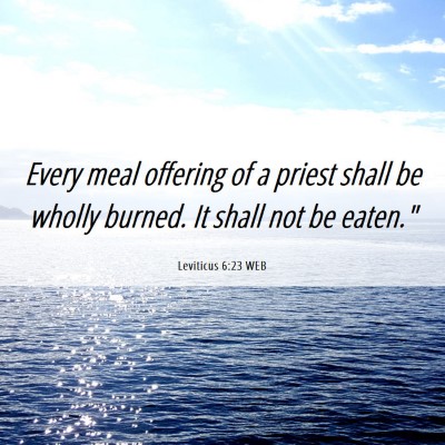 Picture 06 - Leviticus 6:23 WEB - Every meal offering of a priest shall be wholly - Bible Verse Picture