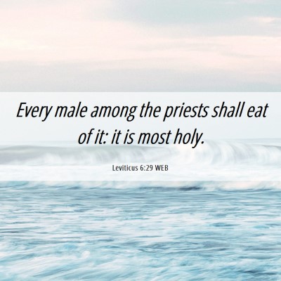 Picture 06 - Leviticus 6:29 WEB - Every male among the priests shall eat of it: it - Bible Verse Picture
