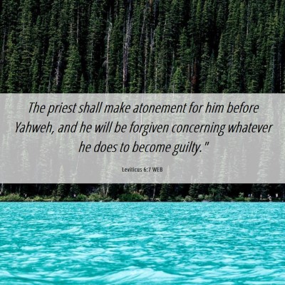 Picture 06 - Leviticus 6:7 WEB - The priest shall make atonement for him before - Bible Verse Picture