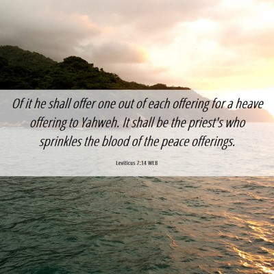 Picture 06 - Leviticus 7:14 WEB - Of it he shall offer one out of each offering for - Bible Verse Picture