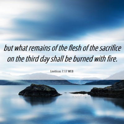Picture 06 - Leviticus 7:17 WEB - but what remains of the flesh of the sacrifice on - Bible Verse Picture