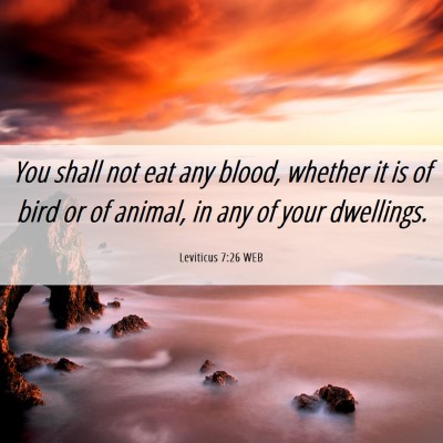 Picture 06 - Leviticus 7:26 WEB - You shall not eat any blood, whether it is of - Bible Verse Picture