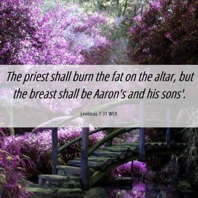 Picture 06 - Leviticus 7:31 WEB - The priest shall burn the fat on the altar, but - Bible Verse Picture