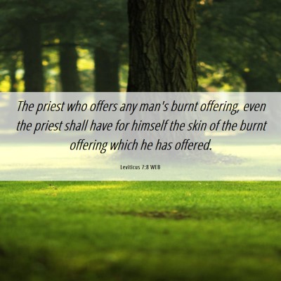 Picture 06 - Leviticus 7:8 WEB - The priest who offers any man's burnt offering, - Bible Verse Picture