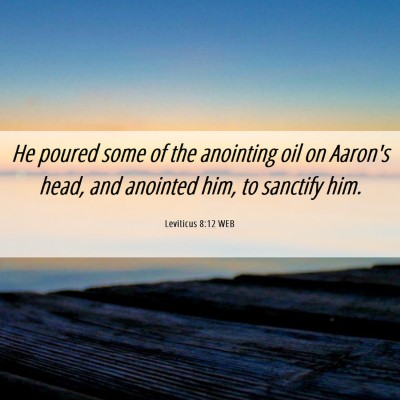 Picture 06 - Leviticus 8:12 WEB - He poured some of the anointing oil on Aaron's - Bible Verse Picture