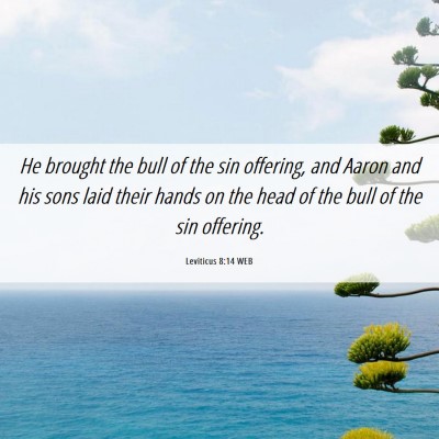 Picture 06 - Leviticus 8:14 WEB - He brought the bull of the sin offering, and - Bible Verse Picture