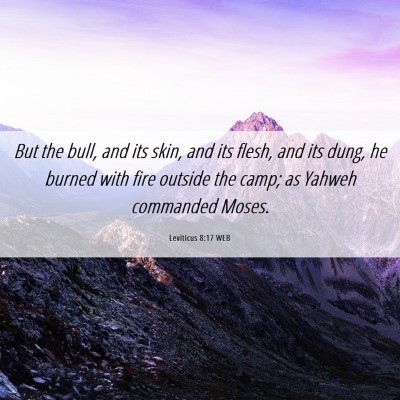 Picture 06 - Leviticus 8:17 WEB - But the bull, and its skin, and its flesh, and - Bible Verse Picture
